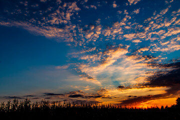 Sunrise over the field