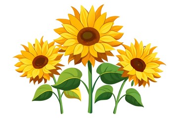 Obraz premium sunflowers watercolor