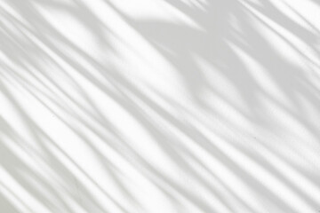 Abstract natural tree leaves shadow on white wall background