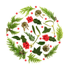 Christmas winter flora abstract nature decoration with red holly berries mistletoe, ivy,...