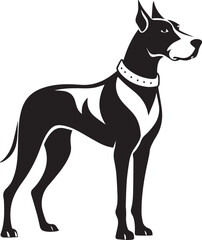 great Dane Dog full body with leather belt  illustration  silhouette black and white transparent background