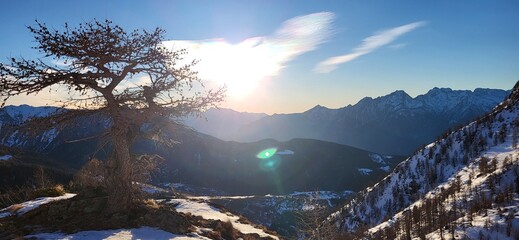 snow covered mountains