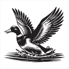 Fototapeta premium Mallard Silhouette, Wild Duck Clipart, mallard Flapping wings while floating illustration in black and white