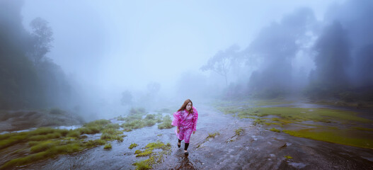 tourist with pink rain coat walking travel adventure nature in the rain forest. travel nature,...