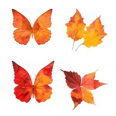 Obraz premium Two orange butterflies and two sets of autumn leaves isolated on a white background.