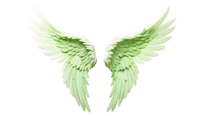 green nature Angel wings on white solid background