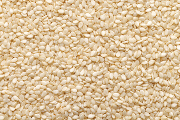 Sesame seeds Sesamum indicum, macro. Sesame seeds background