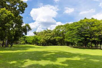 Scenic view of the park with green grass field in city and a cloudy blue sky background. Beautiful green park