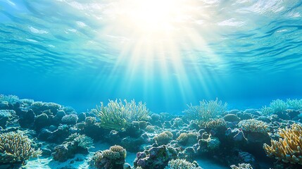 A breathtaking underwater scene showcasing vibrant coral reefs illuminated by sunlight filtering through crystal clear waters.