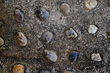 Dirty rustic and vintage grunge concrete wall. Stone and cement wall, embedded stone decorate texture on surface wall background