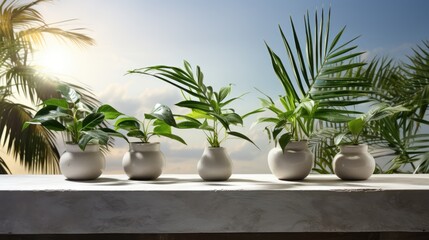 Obraz premium Blank minimal white counter podium, soft beautiful dappled sunlight, tropical palm foliage leaf shadow 