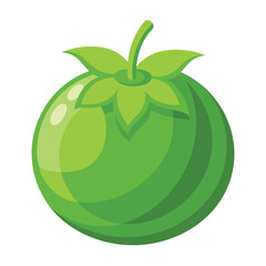 Illustration of Fresh Tomatillo Isolated on white