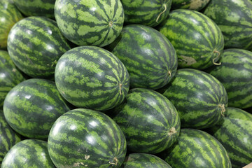 Green watermelons are stacked in a pile. A lot of watermelons are on sale at the market.