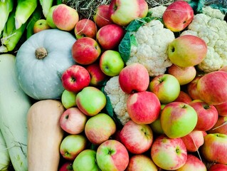 fruits and vegetables