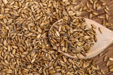 Ostropest plamisty w postaci dorodnych nasion na drewnianej łyżce stołowej 