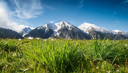 Fototapeta premium a bright spring scene with lush, fresh green grass in the foreground. GENERATIVE AI