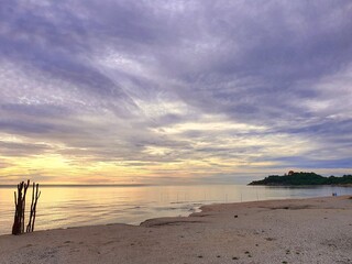 The golden light of the sun rising from the sea shines on the trees and grass, bringing them to life.
