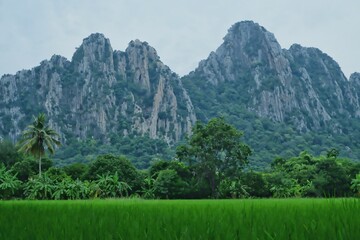 Landscape with mountains, trees and grasslands