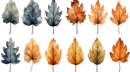 Obraz premium Watercolor autumn leaves isolated on transparent background.