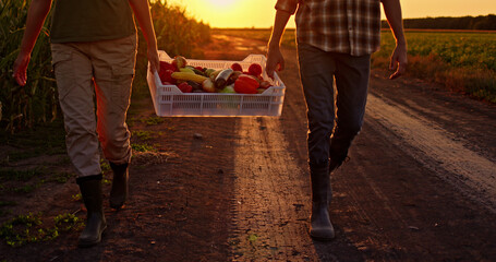 Two farmers carry a crate of fresh vegetables along a country road at sunset.