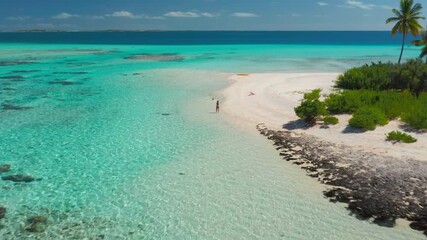 Aerial drone footage of a young woman enjoying a sunny day at the beach with her dog, walking on a pristine white sand beach in a tropical paradise