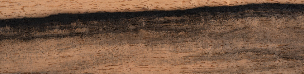 Close-up of ebony white veneer, a fusion of elegance and modern sophistication