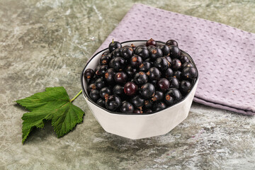 Ripe black currant in the bowl