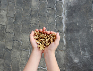 A handful of walnuts in the hands of a child on a stone background