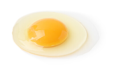 One fresh raw egg isolated on white