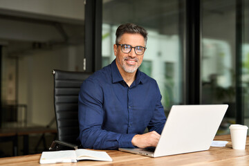Portrait of happy mid aged business man executive working on laptop in office. Senior company...