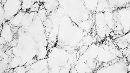 Obraz premium White marble texture with black veins. Perfect for backgrounds or design projects.