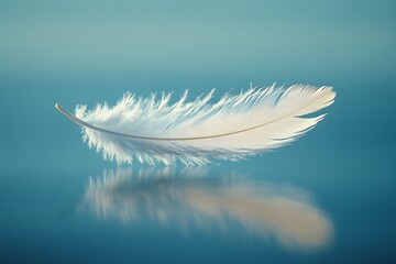 Obraz premium A single, delicate white feather floats gracefully on the surface of calm blue waters, creating a serene and peaceful image. 