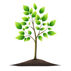 Fototapeta premium A simple, stylized tree with vibrant green leaves growing from a brown trunk, symbolizing nature and environmental vitality