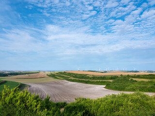 rural landscape in champagne-ardenne with wind turbines and fields