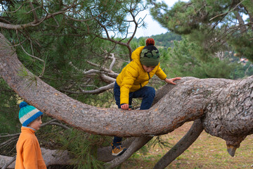 Two children playing in the forest by the trees on a cold day
