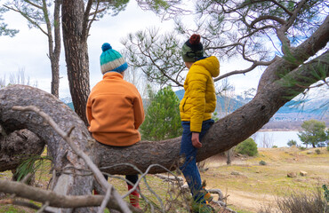two unrecognizable children sitting on the branch of a tree in a forest looking towards a landscape...
