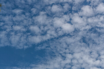Clouds in the blue sky
