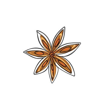 Single Chinese star anise seed freehand sketch template for autumn sticker