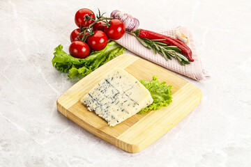 Gourmet blue cheese with mold