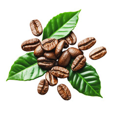 PNG Coffee beans on green leaves