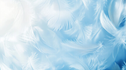 Fototapeta premium Feather background with feathers in blue and white tones