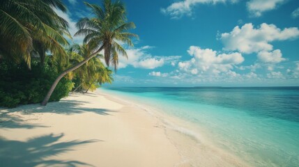 Tranquil Beach Paradise: Soft Sand, Palm Trees, and Crystal-Clear Waters
