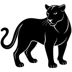 illustration of a tiger