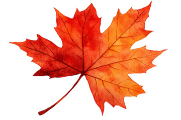 Fototapeta premium Vibrant red maple leaf, showcasing autumn beauty with warm hues and elegant design, perfect for seasonal decorations and art.