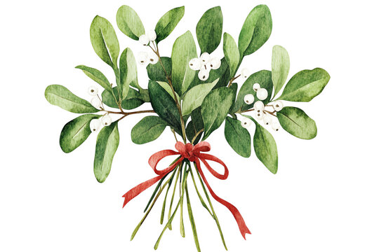 A beautiful watercolor illustration of mistletoe leaves and berries tied with a red ribbon, perfect for holiday decorations.