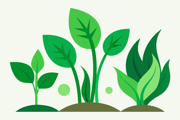 Green plant vector design