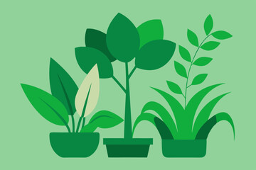 Green plant vector design