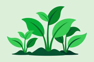 Green plant vector design