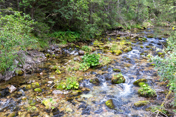 A mountain stream in the Koscieliska Valley in the Tatra Mountains in Poland