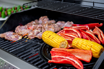 Grilled chicken meat with vegetables on barbecue grill with smoke.